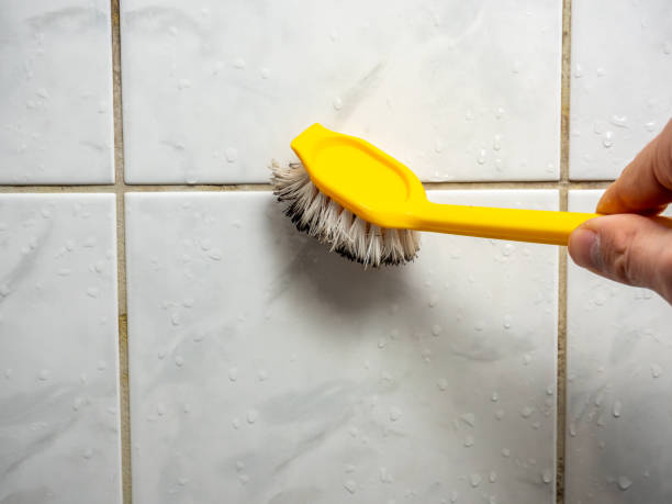 Best Black Mold Removal  in Wickenburg, AZ