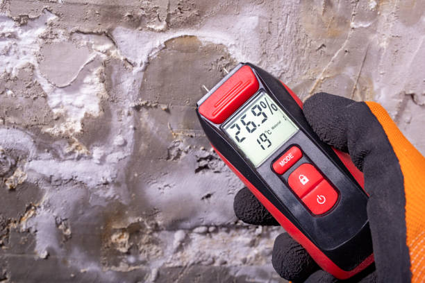 Best Mold Remediation  in Wickenburg, AZ