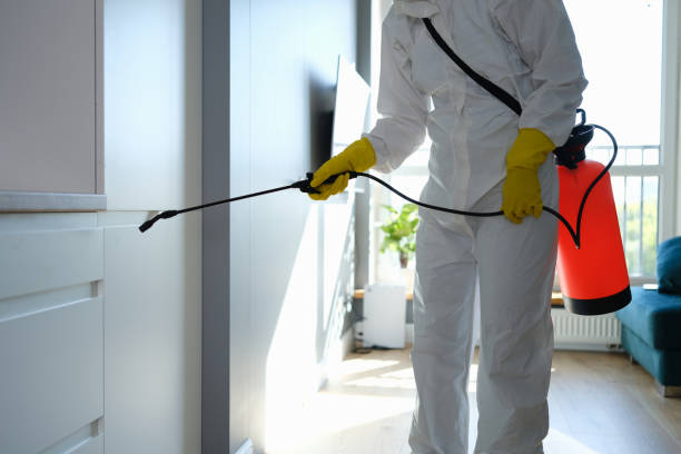 Crawl Space Mold Removal in Wickenburg, AZ