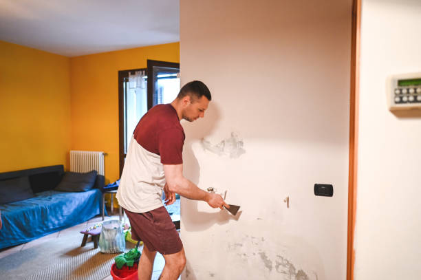 Best Crawl Space Mold Removal  in Wickenburg, AZ